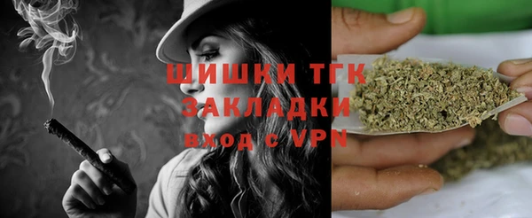 прущие грибы Балабаново
