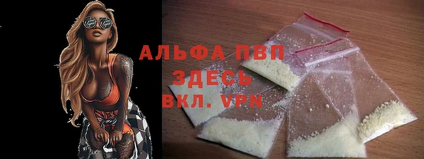 прущие грибы Балабаново