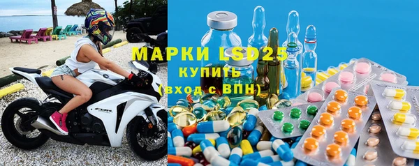 прущие грибы Балабаново
