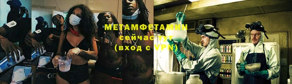 прущие грибы Балабаново