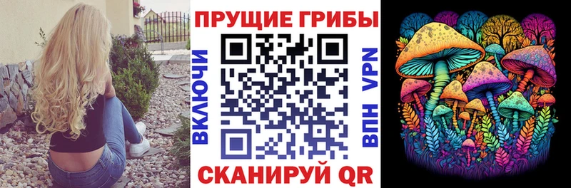 Псилоцибиновые грибы Psilocybine cubensis  Афипский 
